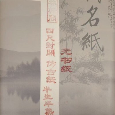 四尺对开整张元书纸书法用纸半生半熟仿古纸无格毛边纸手工元书纸