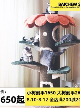 白猪商店 猫的树Camily猫爬架太阳花猫树猫抓板猫窝猫爬架一体