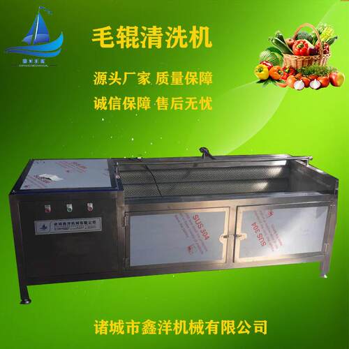 不锈钢老姜去皮机商用土豆毛辊清洗机高水压喷淋地环去泥设备