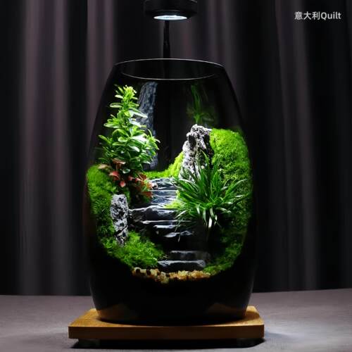 桌面苔藓微景观生态瓶造景植物雨林创意小摆件森林玻璃养鱼生态缸