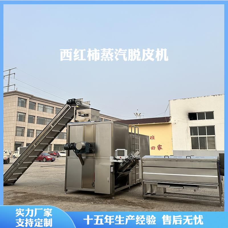 树柿子蒸汽去皮机多功能物理小番茄脱皮设备西红柿烫皮机