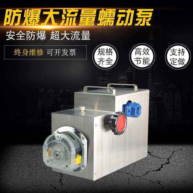 制剂灌装防爆蠕动泵FB600型工业大流量蠕动泵制药恒流泵