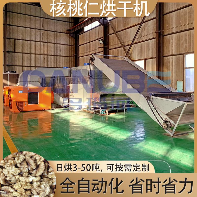 核桃仁分段式加温烘干机核桃清洗烘干全套设备网带核桃仁烘干机