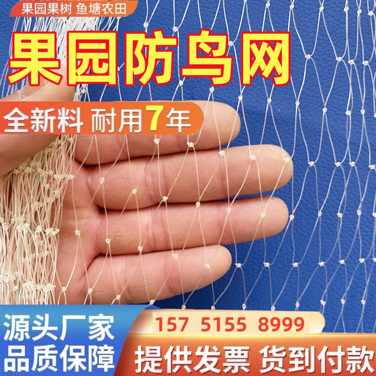 防鸟网果树园大棚尼龙线防护网