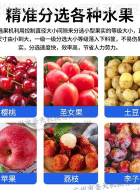 果选机果蔬重分机选机 水果分分拣选果 多GQL功能龙水眼百香果分