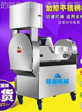 厂家新款大切锈高良姜切卜片机 商用红萝切丝机 不钢水萝卜NTX丁