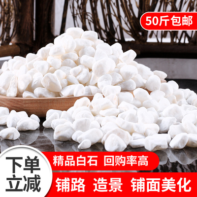 白色鹅卵石大小白石头铺地铺路庭院造景装饰观枯山水石子小白石子