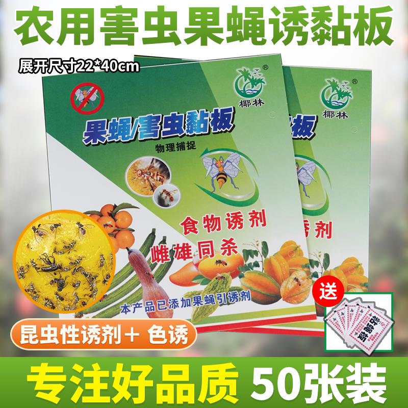 户外双面果蝇贴针蜂粘椰林农用粘虫板瓜实蝇粘胶板诱粘板信息素