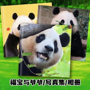 大熊猫福宝和爷爷照片写真集相册画册定制2025年台历挂历日历摆件