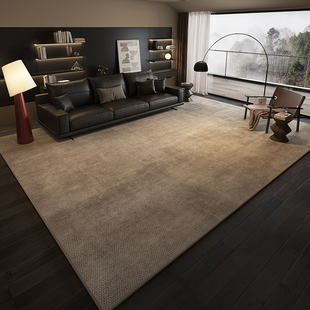 地毯客厅家用轻奢侘寂风免打理沙发家用茶几毯卧室地垫 高级感中式