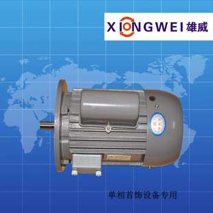 YC802 4750WB5单相电机抛光设备专用电机