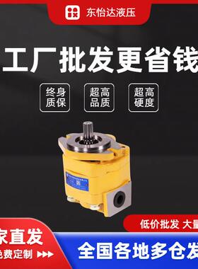 HCHC合肥长源液压齿轮油泵铸铁齿轮泵CBTZTA-F30-ALφ9L现货供应