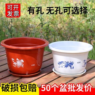 塑料花盆睡莲无孔有孔耐用碗莲绿萝育苗盆低价促销 处理加厚特大号