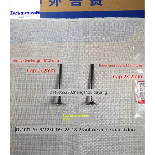 大杨摩托车配件Dy100T-6-8/125T-16-16A-26-18-28气门进排气气门