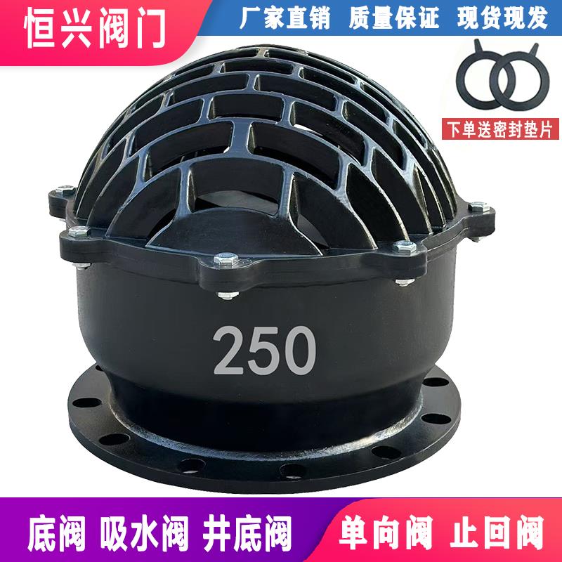 H42X-6法兰底阀 止逆阀止回阀 铸铁水泵底阀DN50 80 100 150 200