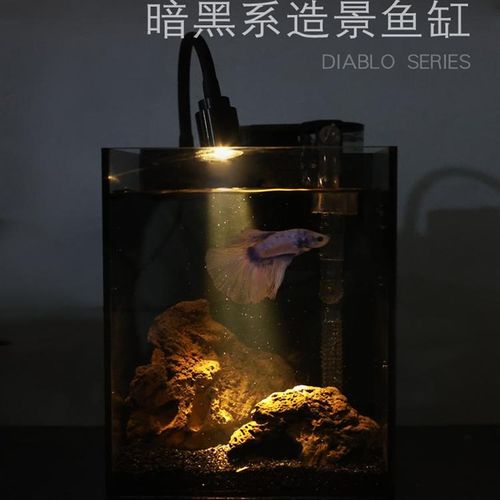 超白玻璃黑玻背景鱼缸桌面小型客厅家用水族箱精致斗鱼暗黑风格