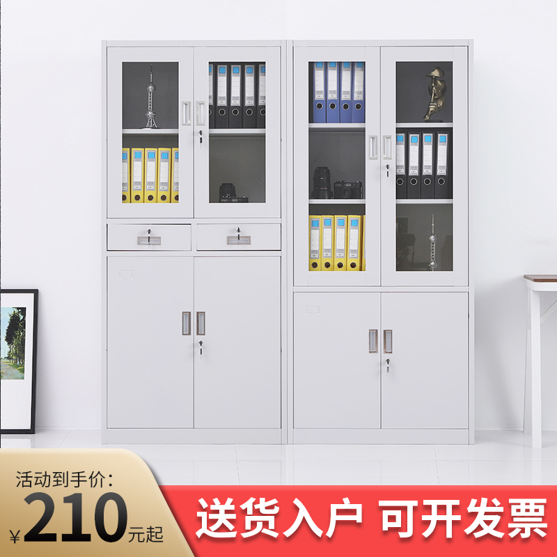 天瑞钢制带锁铁皮收纳柜文档文件数据柜财务凭证柜办公室柜子