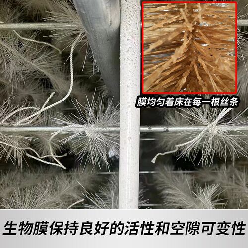 立体弹性填料厌缺氧鱼养殖生污废水池毛刷氧化处理净化软性挂绳