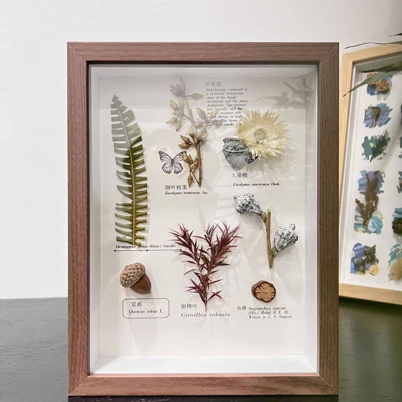 植物标本装饰画相框家居摆台法式复古百搭电视背景墙组合装饰画