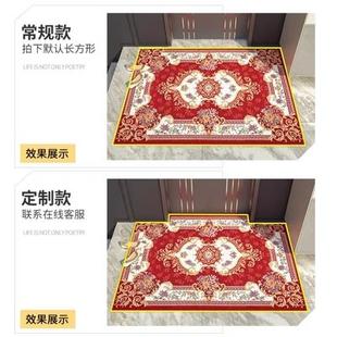 地毯地垫进门门口入户门垫家用进户门脚垫客厅卧室高级防滑 欧式