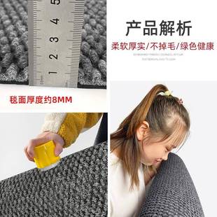 入户门地垫高级感进门高端门垫门外脚垫家用门口进户门室外地毯