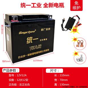 阿普利亚SRMAX250 300 SR300 SR250 SR150比亚乔X7摩托车干电瓶池