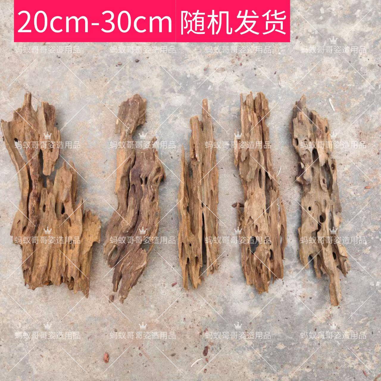 海鲜姿造刺身木头鲑鱼点缀酒店意境树根沉木摆件装饰品