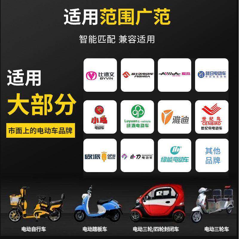自动断电两轮三轮电动车电瓶车充电器48V60V72V超级快充电车通用