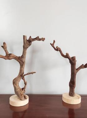 原木树杈带底托 托摆件 书架客厅茶几摆设 手工天然把玩首饰实木