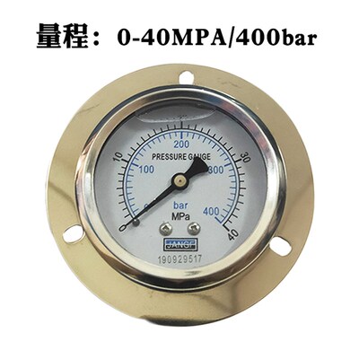 YN60ZT轴向带边耐震压力表背式油压液压水压气压25mpa/10/250bar
