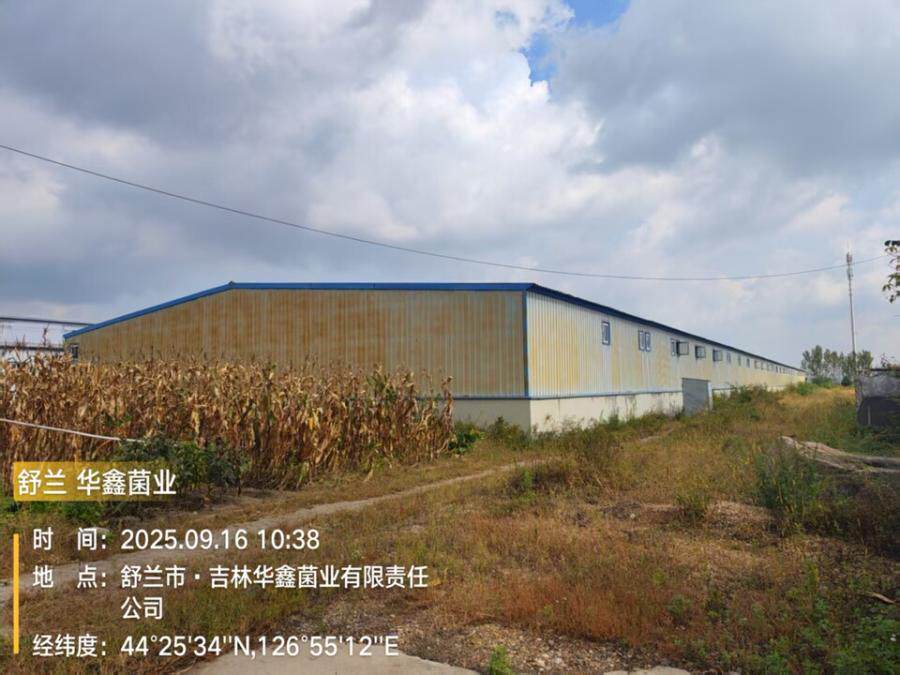 5月26日吉林市关于菌业公司名下房产、构筑物资产及坐落土地和无证房、绿化树木等资产网络拍卖公告