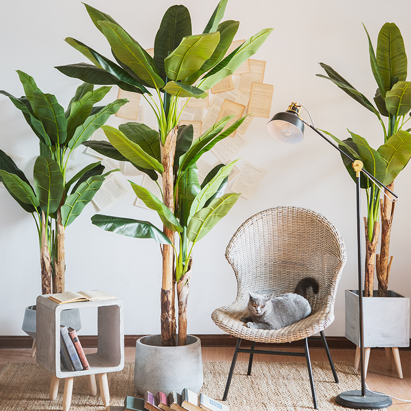 七茉 仿真芭蕉树高档热带香蕉树绿植物商场室内装饰大型假树摆件