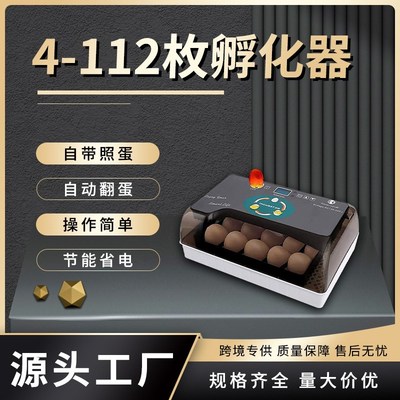 小型鸡蛋孵化器芦丁鸡孵蛋器 鸽子小鸡孵化机自动孵化养殖设备