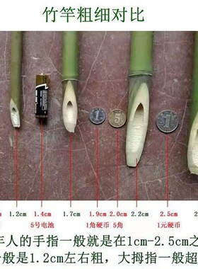 竹竿菜园搭架豆角黄瓜番茄爬藤蔬菜大棚支架彩旗米米竹子支撑杆