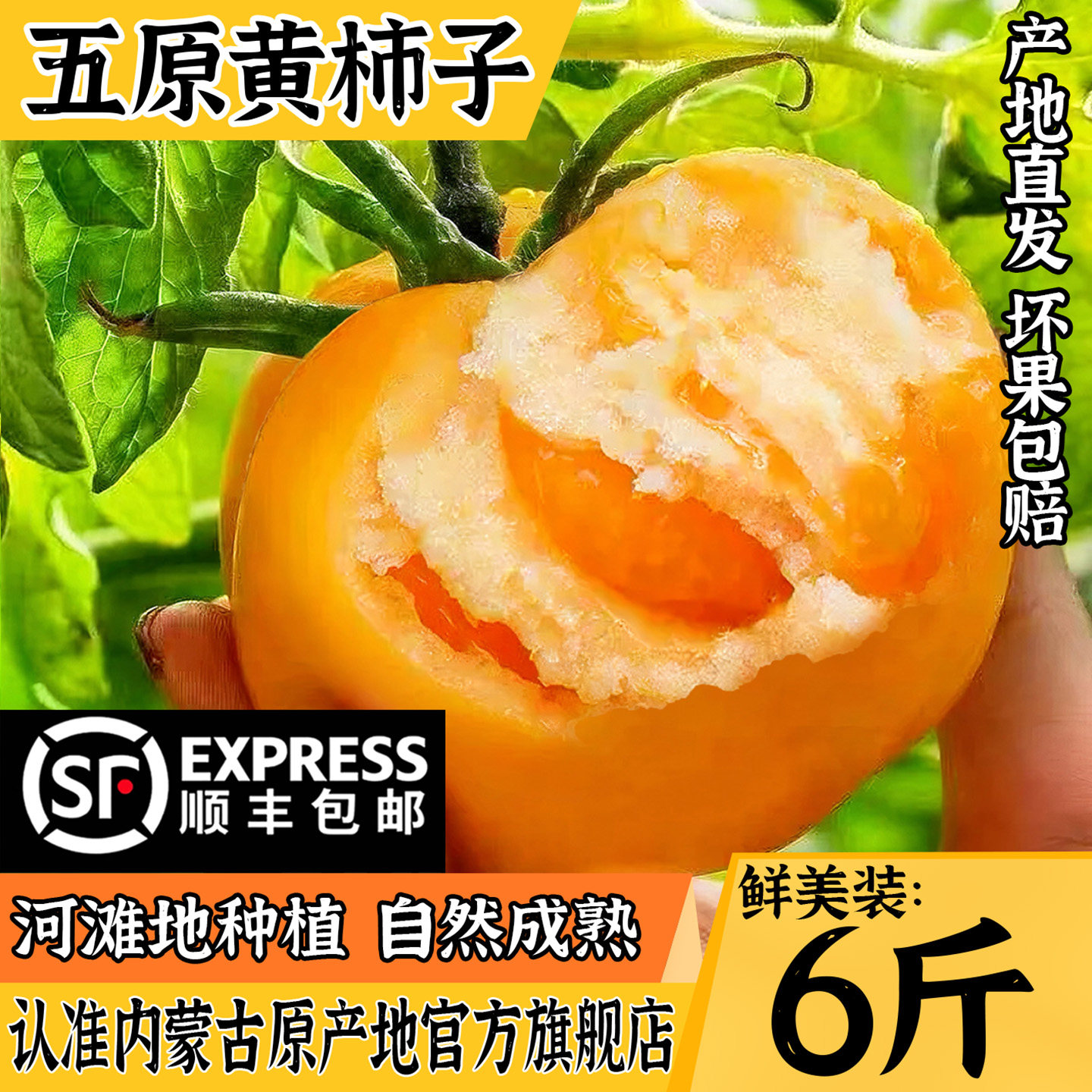 内蒙古五原黄柿子沙瓤自然熟现摘黄色西红柿水果番茄蔬菜生吃,水产肉类/新鲜蔬果/熟食,番茄,淘宝优惠券,粉丝福利购,淘宝优惠卷