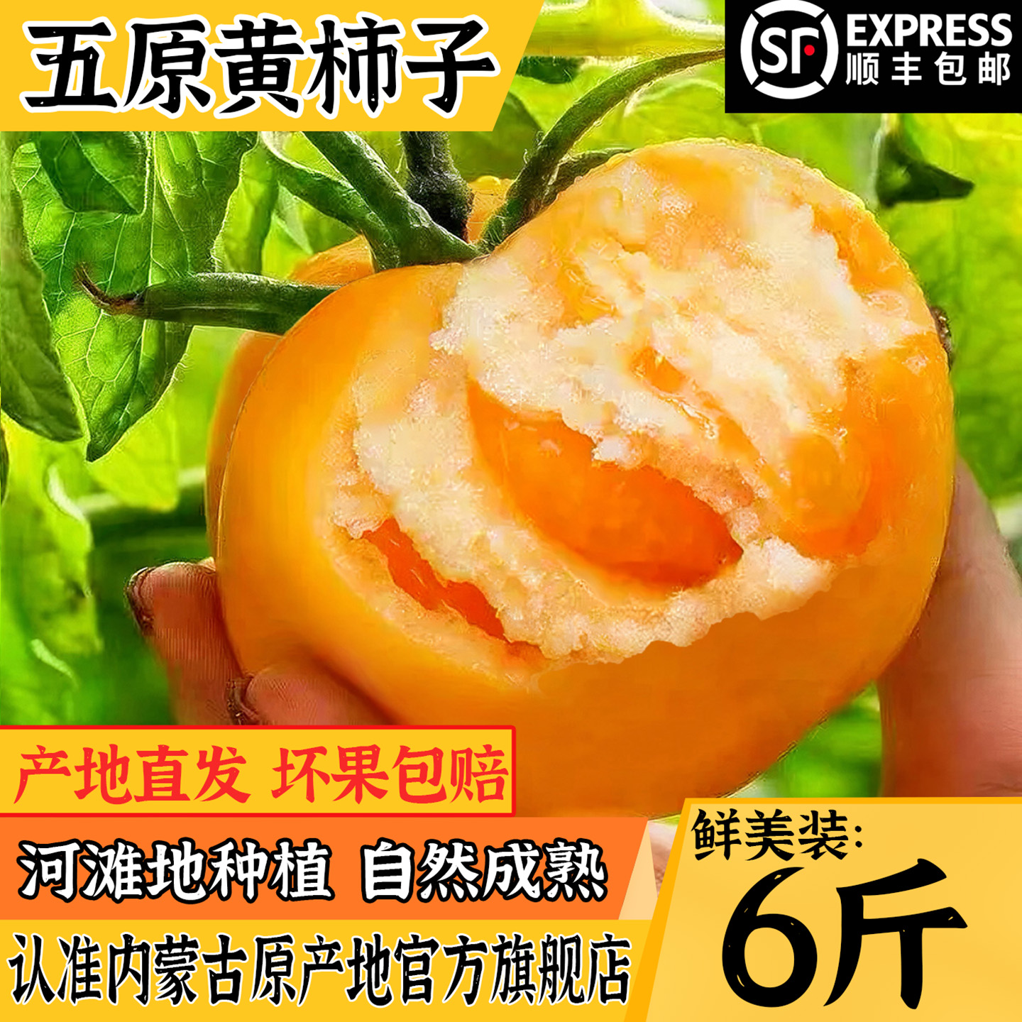 内蒙古五原新鲜黄柿子沙瓤西红柿