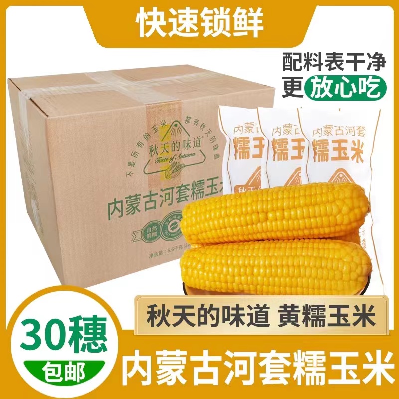 秋天的味道整箱30穗黄黑糯玉米大包装内蒙古巴盟河套新鲜真空装