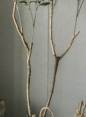 仿真装饰橄榄树风假绿植室内办公室客厅电视柜绿植树