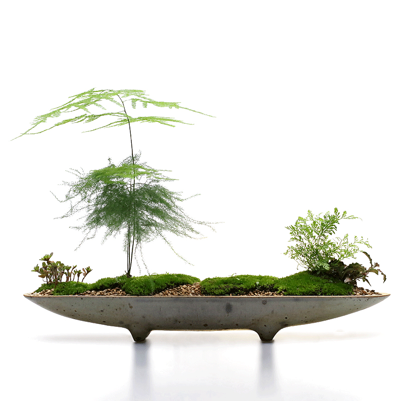 一皿花道船形花器长条形陶瓷插花器皿小池坊酒店会所茶楼件软装