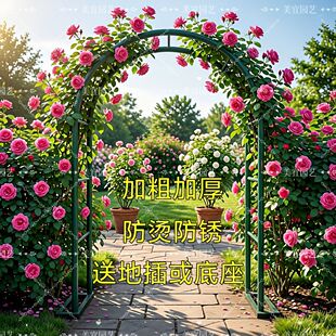 庭院花架防锈铁艺花园拱门爬藤架装饰拱形支架弧形月季拱门
