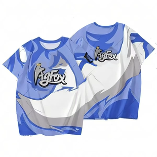 和平精英cos服装战队服同款套装短袖上衣青少年宽松休闲夏季短裤