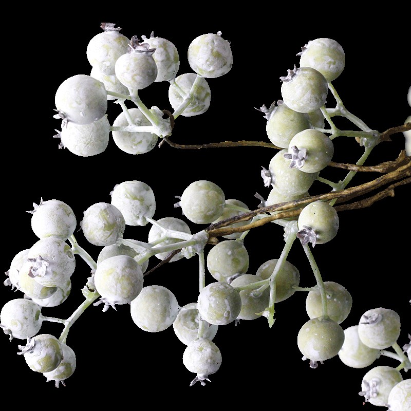 仿真果白色浆果 仿真马桑果 圣诞摄影家居装饰花摆件