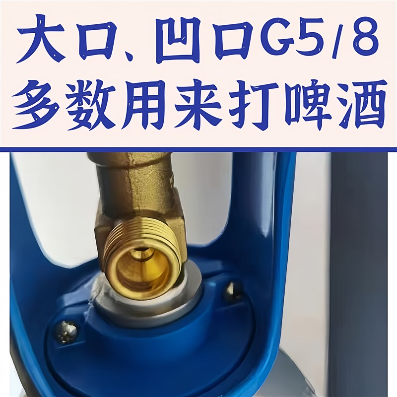 国标二氧化碳气瓶满气可乐机扎啤机钢瓶10升通用苏打气泡水可充气