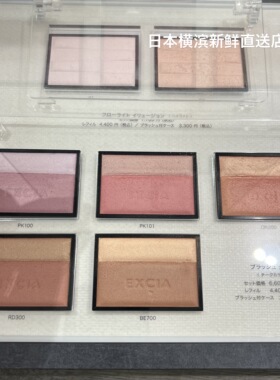 日本代购直邮 ALBION澳尔滨EXICIA雅思新款双色腮红高光珠光提亮