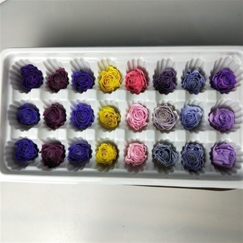 (整盒)小平头玫瑰花(约1-2cm)永生花新手DIY制作配材