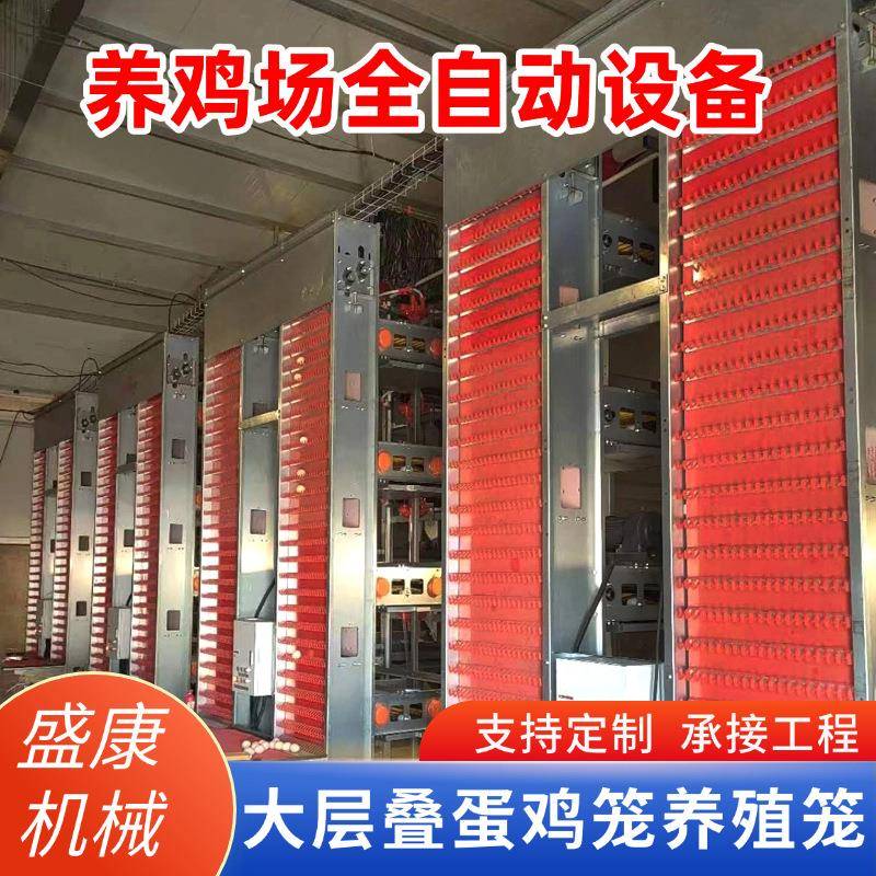 养殖场饲养自动化后镀锌大层叠多层蛋鸡笼养鸡笼子鸡舍蛋鸡笼子