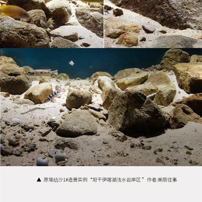原境系列造景专用沙尤其适合三湖慈鲷南美观赏鱼