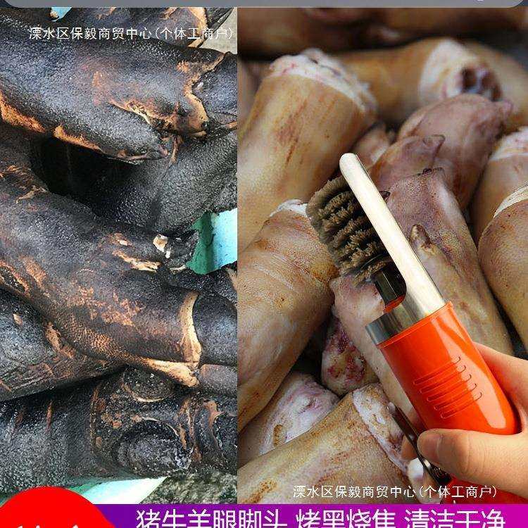 电动洗猪脚刷猪头刮猪脚清洗机刮猪蹄牛羊腿脚火烧毛清洁工具,3C数码配件,USB灯,淘宝优惠券,粉丝福利购,淘宝优惠卷