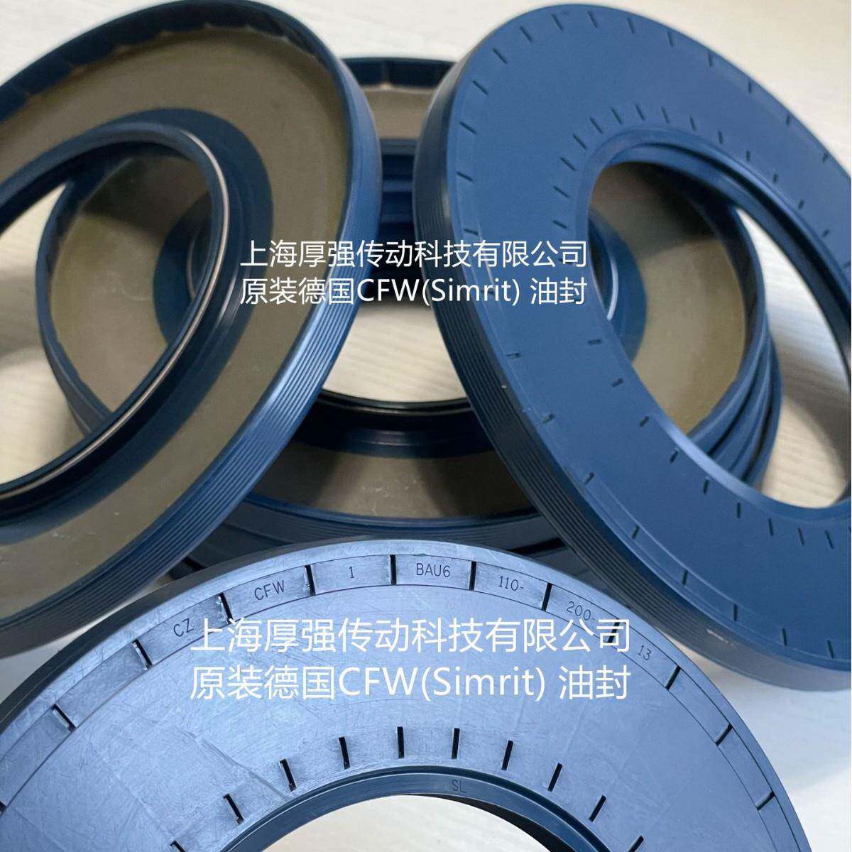 德国Simrit/FREUDENBERG科德宝恩福油封CZCFW1BAU6SL110-200-13