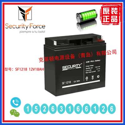 SECURITY蓄电池SF121812V18AH不间断电源门禁系统精密仪器
